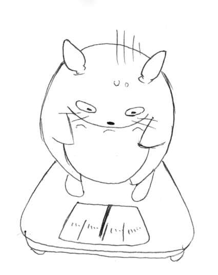WEIGH.JPG - 25,711BYTES